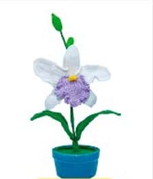 Cattleya3