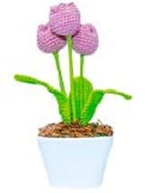 Tulipanes