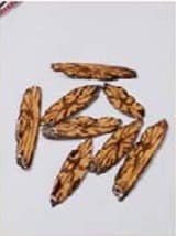 Ayahuasca chifle