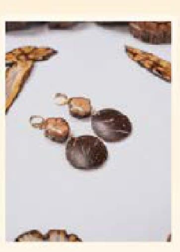 Aretes de ayahuasca con coco